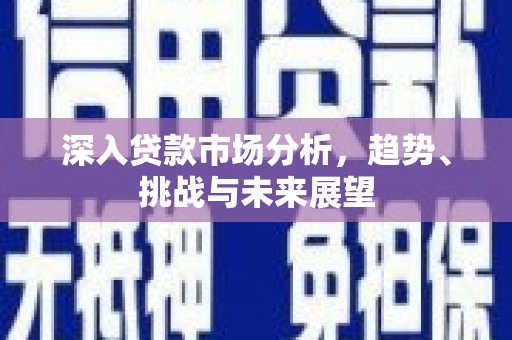 芦洲深入贷款市场分析，趋势、挑战与未来展望