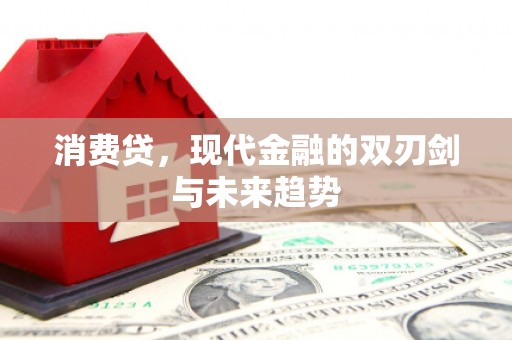 芦洲消费贷，现代金融的双刃剑与未来趋势