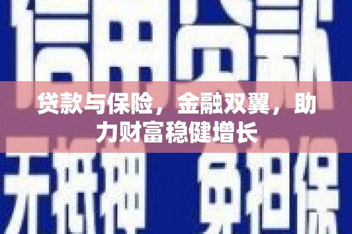芦洲贷款与保险，金融双翼，助力财富稳健增长