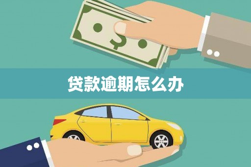 芦洲贷款逾期怎么办