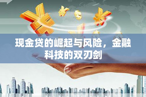 芦洲现金贷的崛起与风险，金融科技的双刃剑