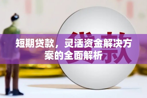 芦洲短期贷款，灵活资金解决方案的全面解析