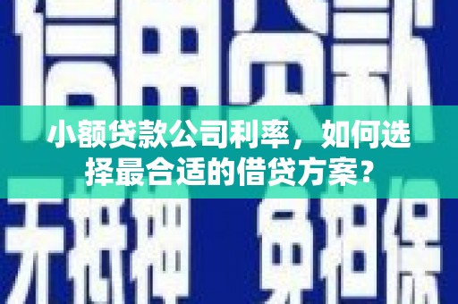 芦洲小额贷款公司利率，如何选择最合适的借贷方案？