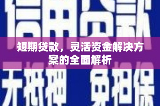 芦洲短期贷款，灵活资金解决方案的全面解析