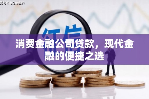 芦洲消费金融公司贷款，现代金融的便捷之选
