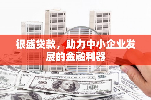 芦洲银盛贷款，助力中小企业发展的金融利器