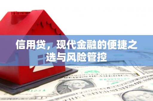 芦洲信用贷，现代金融的便捷之选与风险管控
