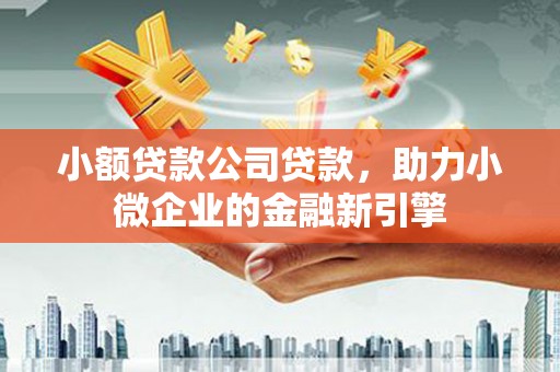 芦洲小额贷款公司贷款，助力小微企业的金融新引擎