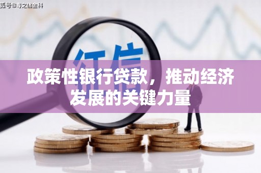 芦洲政策性银行贷款，推动经济发展的关键力量