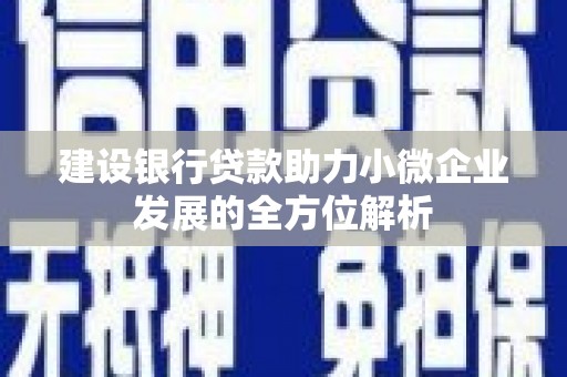 芦洲建设银行贷款助力小微企业发展的全方位解析