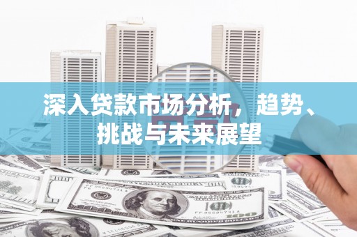 芦洲深入贷款市场分析，趋势、挑战与未来展望