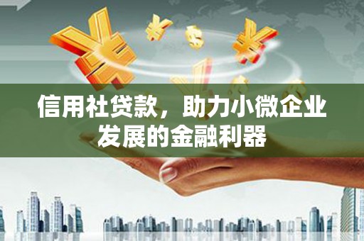 芦洲信用社贷款，助力小微企业发展的金融利器