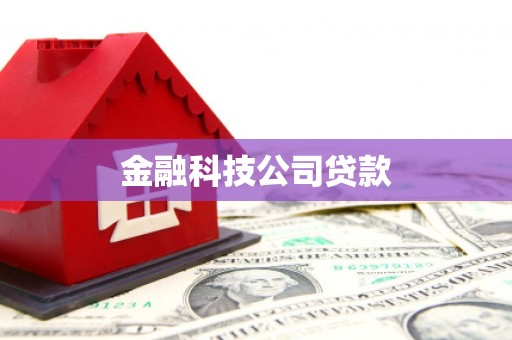 芦洲金融科技公司贷款