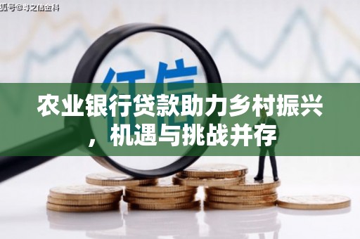芦洲农业银行贷款助力乡村振兴，机遇与挑战并存