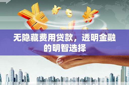 芦洲无隐藏费用贷款，透明金融的明智选择