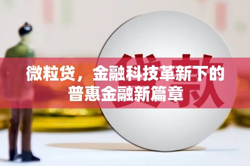 芦洲微粒贷，金融科技革新下的普惠金融新篇章