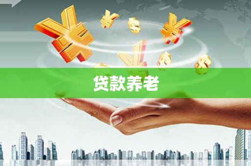 芦洲贷款养老