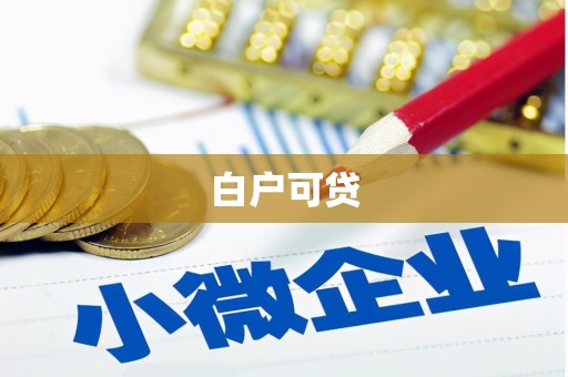 芦洲白户可贷