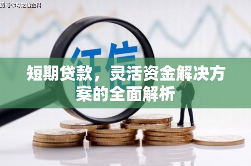 芦洲短期贷款，灵活资金解决方案的全面解析