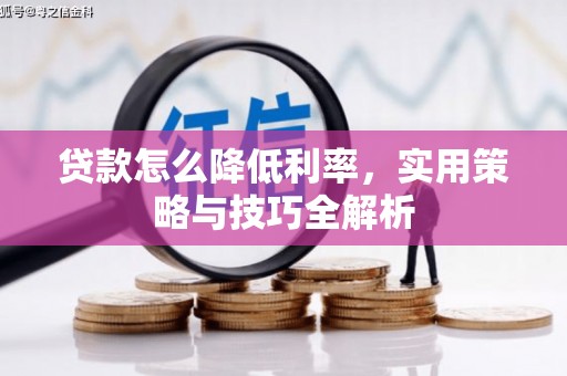芦洲贷款怎么降低利率，实用策略与技巧全解析