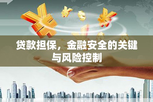 芦洲贷款担保，金融安全的关键与风险控制