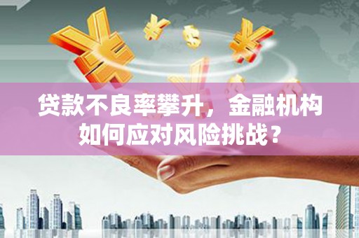 芦洲贷款不良率攀升，金融机构如何应对风险挑战？