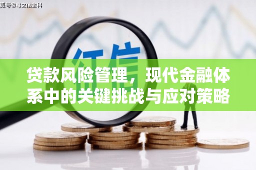 芦洲贷款风险管理，现代金融体系中的关键挑战与应对策略