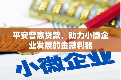 芦洲平安普惠贷款，助力小微企业发展的金融利器