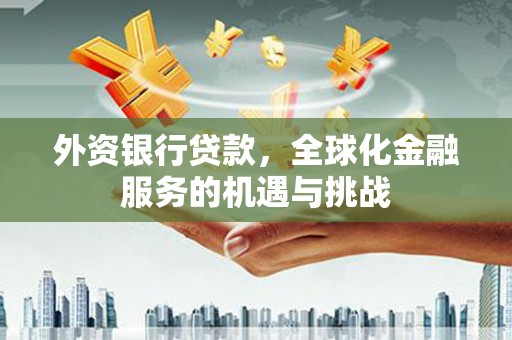 芦洲外资银行贷款，全球化金融服务的机遇与挑战