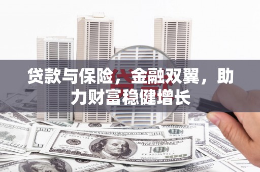 芦洲贷款与保险，金融双翼，助力财富稳健增长