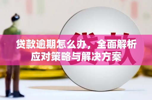 芦洲贷款逾期怎么办，全面解析应对策略与解决方案