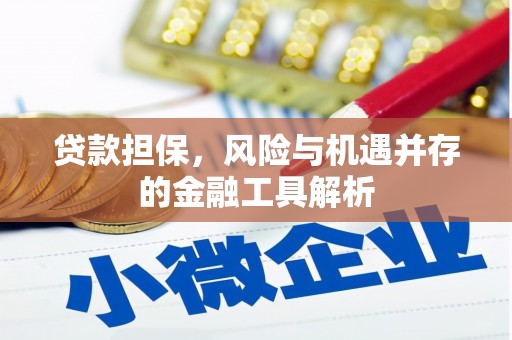 芦洲贷款担保，风险与机遇并存的金融工具解析