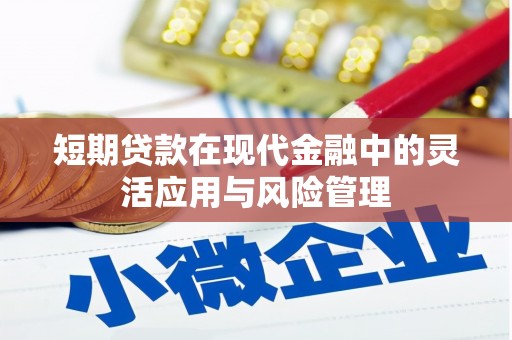 芦洲短期贷款在现代金融中的灵活应用与风险管理