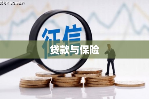 芦洲贷款与保险