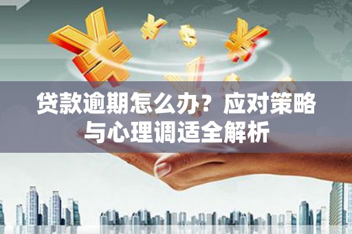 芦洲贷款逾期怎么办？应对策略与心理调适全解析