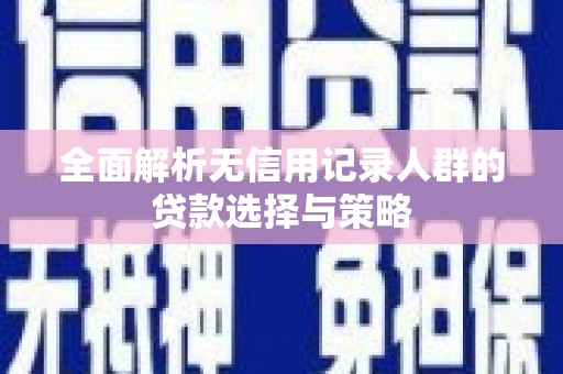 芦洲全面解析无信用记录人群的贷款选择与策略
