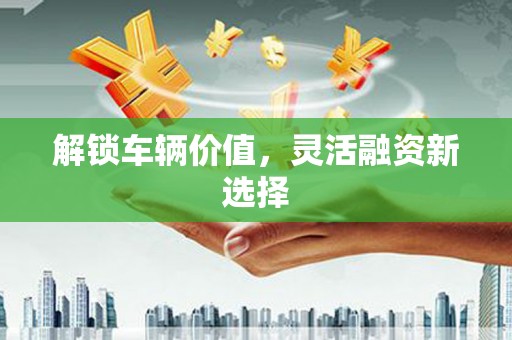 芦洲解锁车辆价值，灵活融资新选择