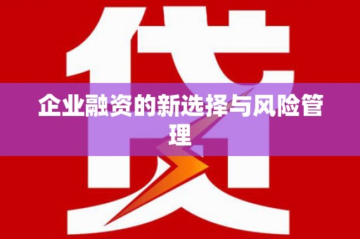 芦洲企业融资的新选择与风险管理