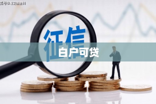 芦洲白户可贷