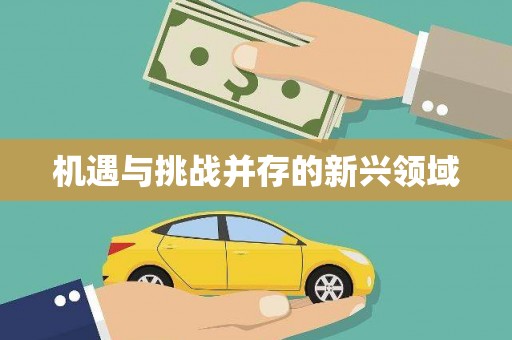 芦洲机遇与挑战并存的新兴领域