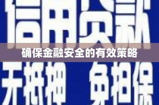 芦洲确保金融安全的有效策略