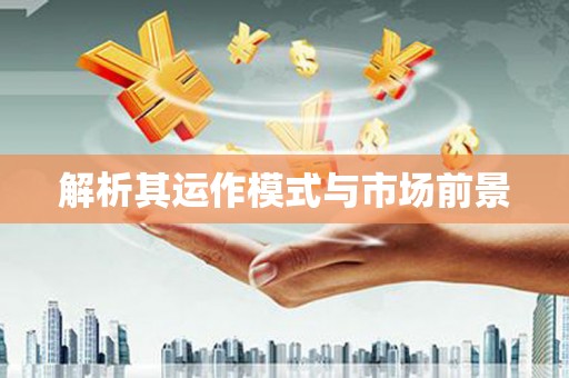 芦洲解析其运作模式与市场前景