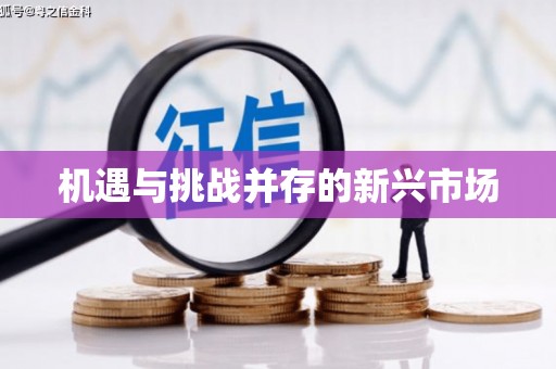 芦洲机遇与挑战并存的新兴市场