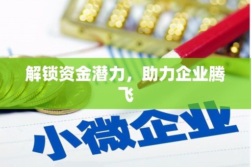 芦洲解锁资金潜力，助力企业腾飞