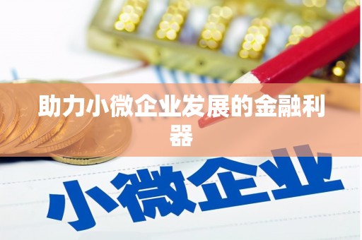 芦洲助力小微企业发展的金融利器