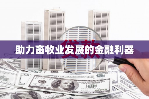 芦洲助力畜牧业发展的金融利器