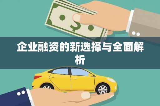 芦洲企业融资的新选择与全面解析
