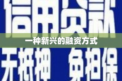 芦洲一种新兴的融资方式