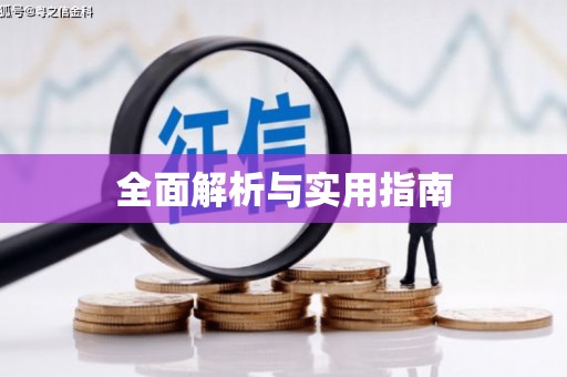 芦洲全面解析与实用指南
