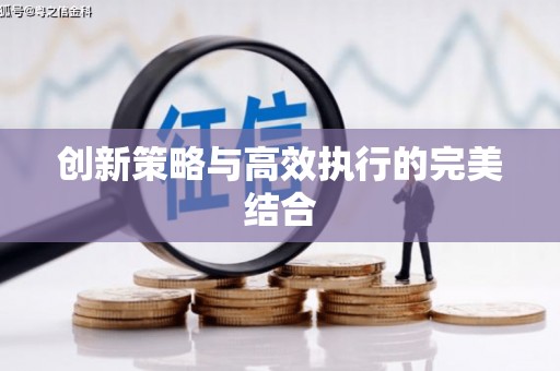 芦洲创新策略与高效执行的完美结合